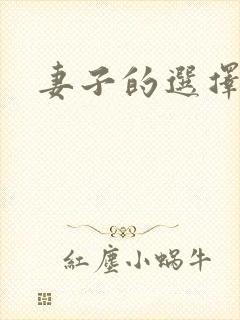 妻子的选择小说