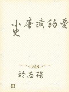 小唐璜的爱情历史