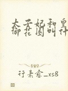 太子妃和皇帝在御花园叫什么小说