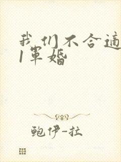 我们不合适1v1军婚