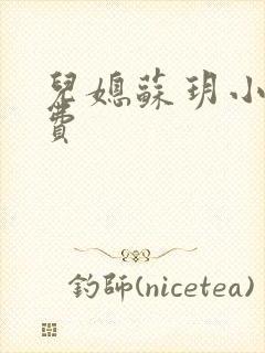 儿媳苏玥小说免费