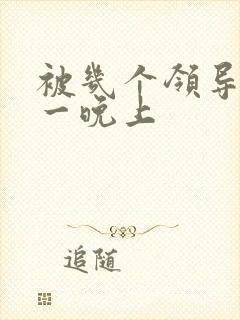 被几个领导玩弄一晚上