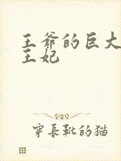 王爷的巨大进入王妃