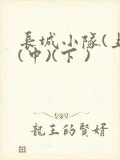 长城小队(上)(中)(下 )