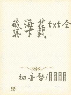 藏海花txt全集下载