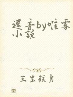 迟音by唯雾的小说