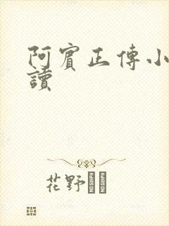 阿宾正传小说在读