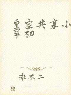 皇家共享小公主宁初