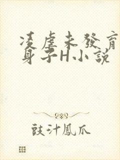 凌虐未发育的小身子H小说