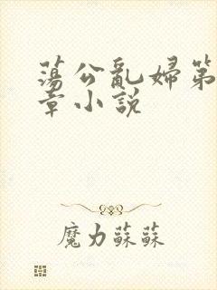 荡公乱妇第51章小说