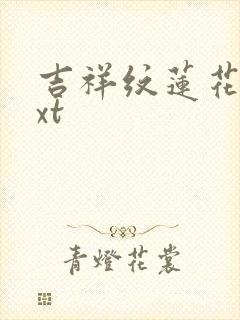 吉祥纹莲花楼txt