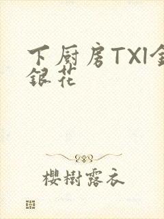 下厨房TXl金银花