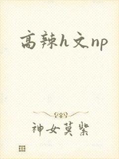 高辣h文np