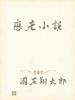 恋老小说