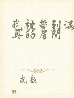 我被带到满是玩具的房间