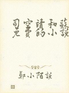 司空靖和苏月汐免费的小说笔趣阁