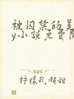 被囚禁的美人by小说免费阅读