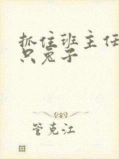 抓住班主任的两只兔子