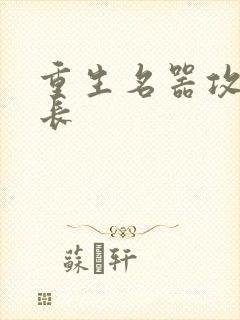 重生名器攻略兄长