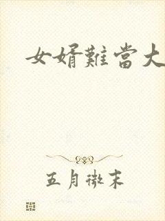 女婿难当大结局