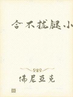 合不拢腿小说