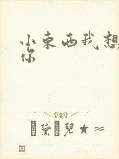 小东西我想弄坏你