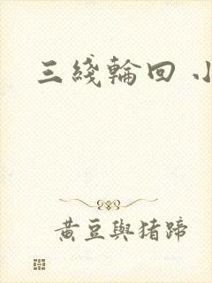 三线轮回 小说