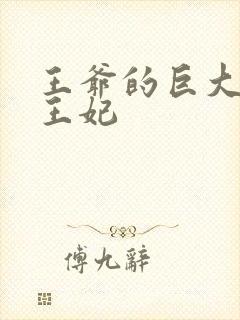 王爷的巨大进入王妃