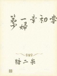 第一章初尝极品少妇