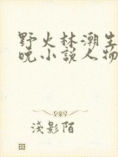 野火林潮生林晚晚小说人物野火
