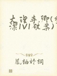 大理寺.卿(双洁1V1破案)