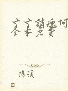 寸寸销魂何生祥全本免费