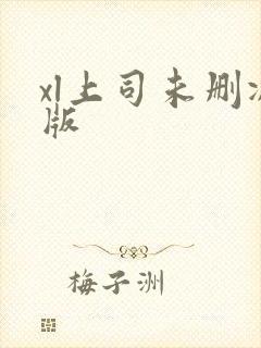 xl上司未删减版