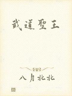 武道圣王
