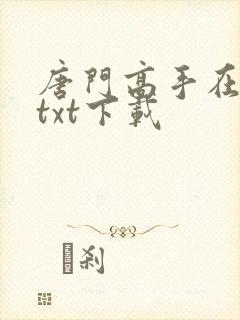 唐门高手在异世txt下载