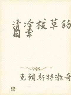 清冷校草的抹布日常