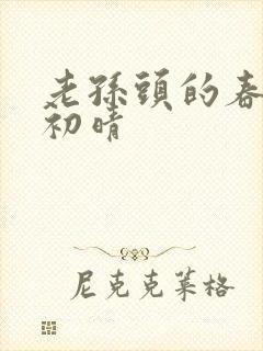 老孙头的春天林初晴