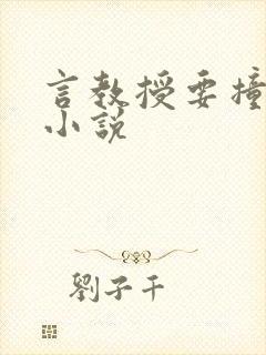 言教授要撞坏了小说