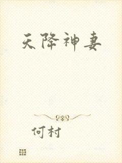 天降神妻