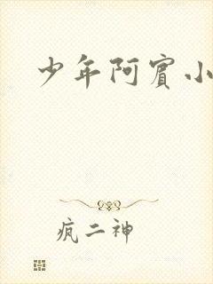 少年阿宾小说