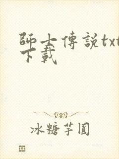 师士传说txt下载