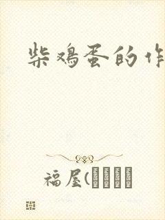 柴鸡蛋的作品