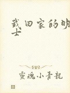 武田家的明国武士