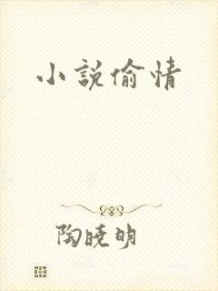 小说偷情
