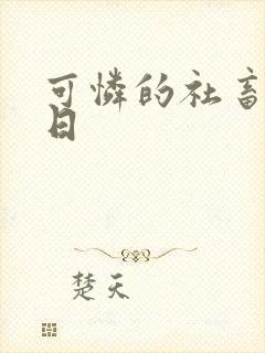 可怜的社畜东度日