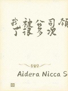 我被公司领导C了很多次