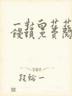 一对白花花的大馒头免费阅读