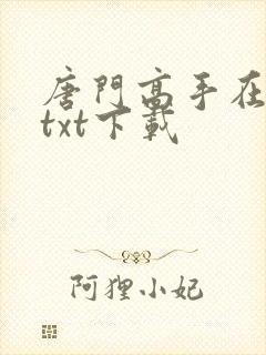 唐门高手在异世txt下载