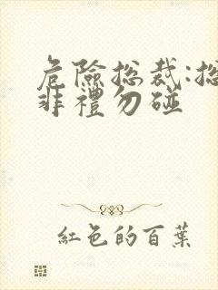 危险总裁:总裁非礼勿碰