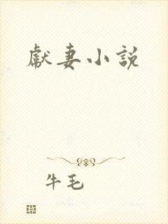献妻小说